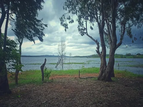 Drowned trees standing in the Kabini backwaters under monsoon cloud