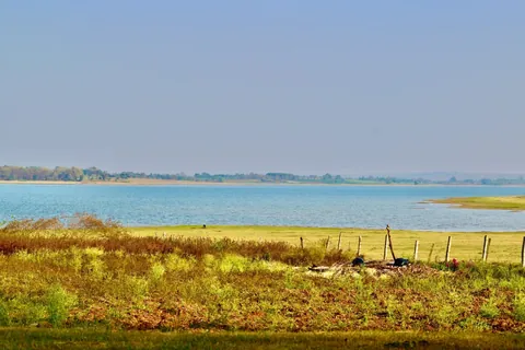 The grass shoreline of the Kabini reservoir