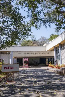 Regional Museum of Natural History
