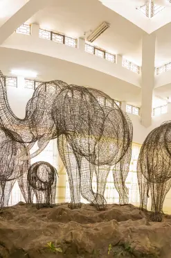 Regional Museum of Natural History