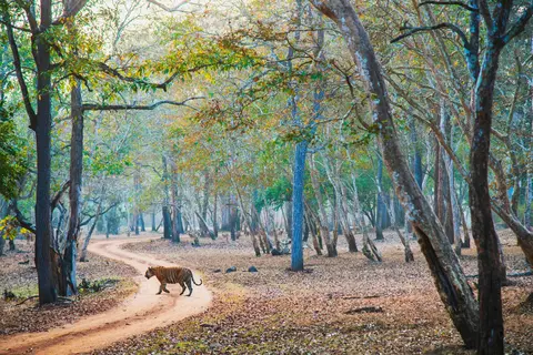Nagarahole