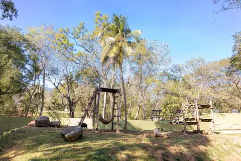 Zoo