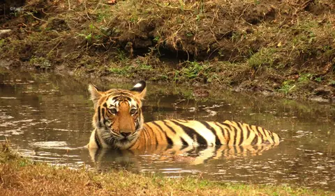 nagaraholenationalpark4